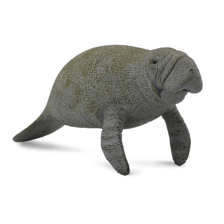 Figurine lamantin - Animaux marins Collecta 88455 - Réplique réaliste Montessori