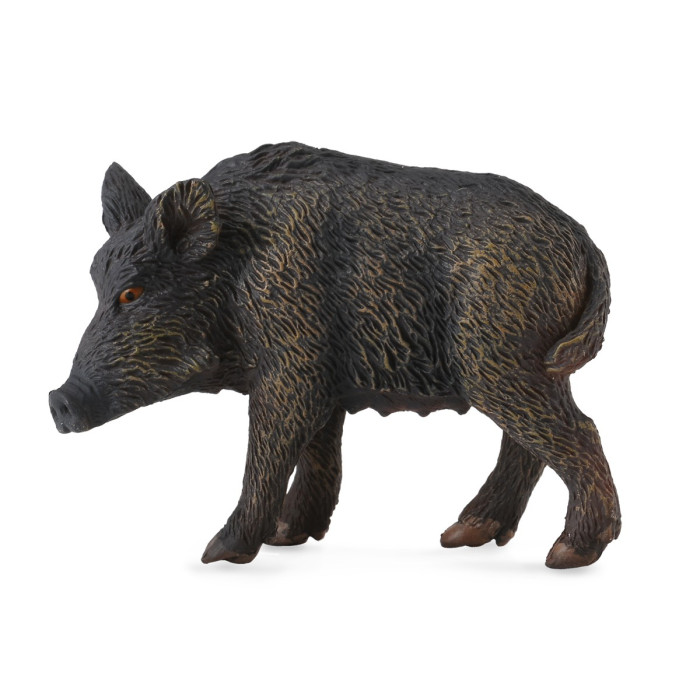 Figurine truie sauvage - Animaux de la forêt Collecta 88364 - Jouet Montessori Réaliste