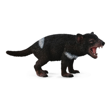 Figurine diable de Tasmanie - animaux sauvages Collecta 88656 - Jouet réplique réaliste - Montessori