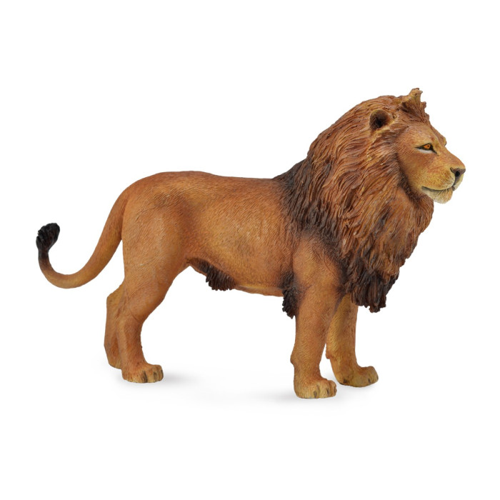 Figurine lion africain - animaux sauvages Collecta 88782 - Jouet réplique réaliste - Montessori