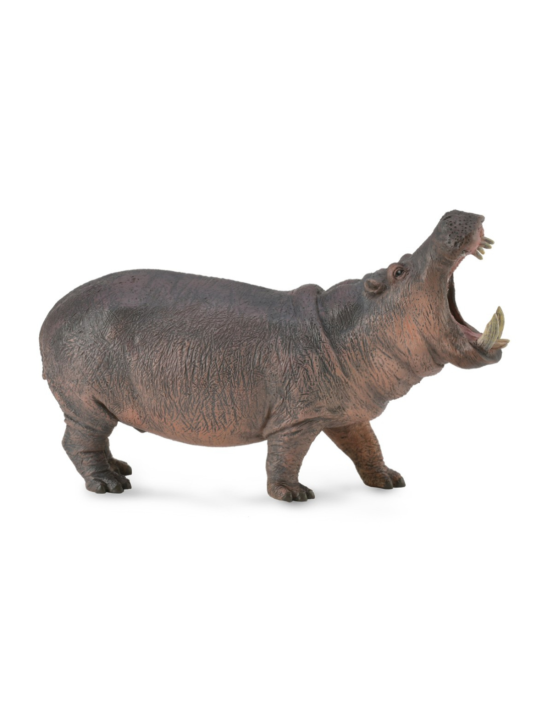 Figurine hippopotame - animaux sauvages Collecta 88833 - Jouet réplique Figurine hippopotame - animaux sauvages Collecta 88833 - Jouet réplique