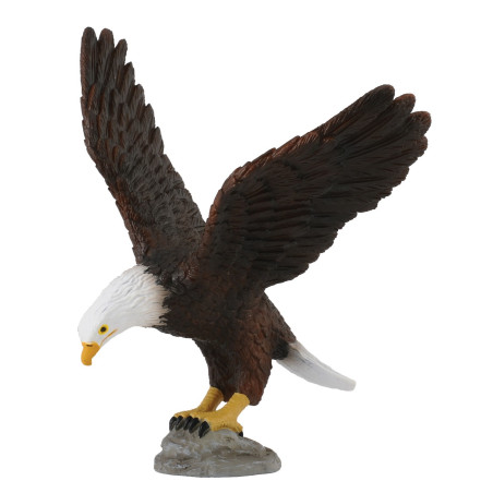 Figurine aigle a tête blanche - animaux sauvages Collecta 88383 - Jouet réplique réaliste - Montessori