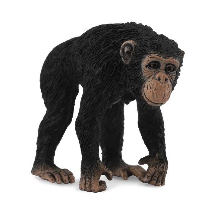 Figurine chimpanzé femelle - animaux sauvages Collecta 88493 - Jouet réplique réaliste - Montessori