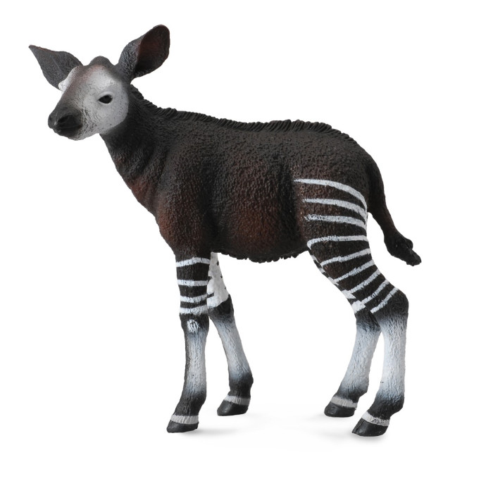 Figurine bébé okapi - animaux sauvages Collecta 88533 - Jouet réplique réaliste - Montessori