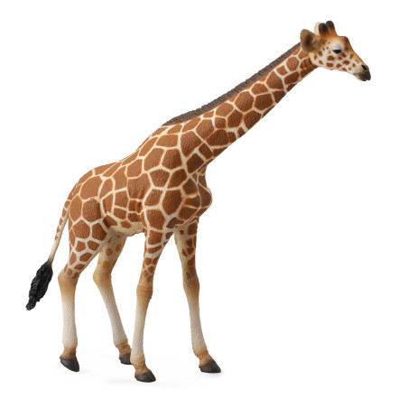 Figurine girafe - animaux sauvages Collecta 88534 - Jouet réplique réaliste - Montessori