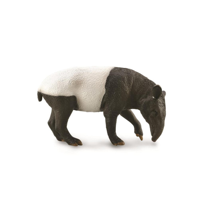 Figurine tapir de Malaisie - animaux sauvages Collecta 88881 - Jouet réplique réaliste - Montessori