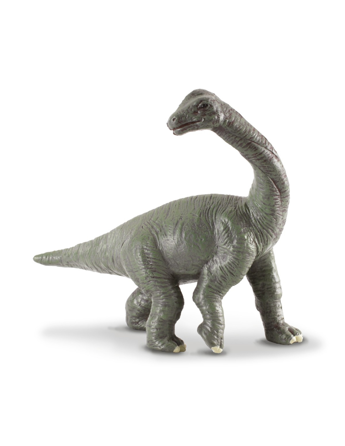 Figurine Dinosaure Bebe Brachiosaure Collecta 800 Jouet Replique Realiste Collection Prehistorique Jurassic World
