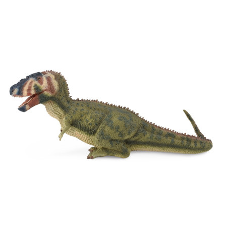 Figurine dinosaure daspletosaurus Collecta 88628 | Jouet réplique réaliste - Collection Préhistorique Jurassic World