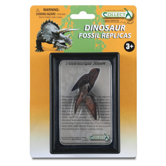 Figurine dinosaure dent de triceratops Collecta 89283 | Jouet réplique réaliste - Collection Préhistorique Jurassic World