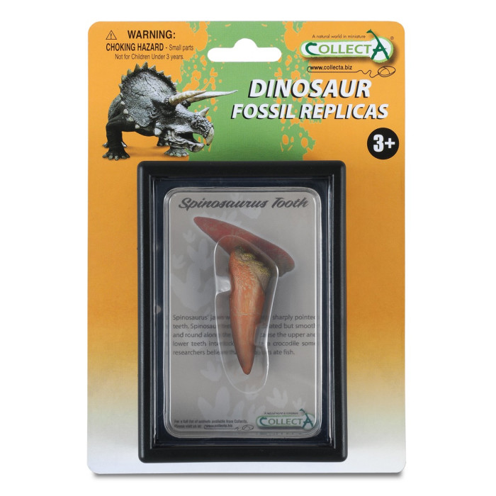 Réplique de Dent de Spinosaure CollectA 89290 – Figurine Dinosaure Réaliste