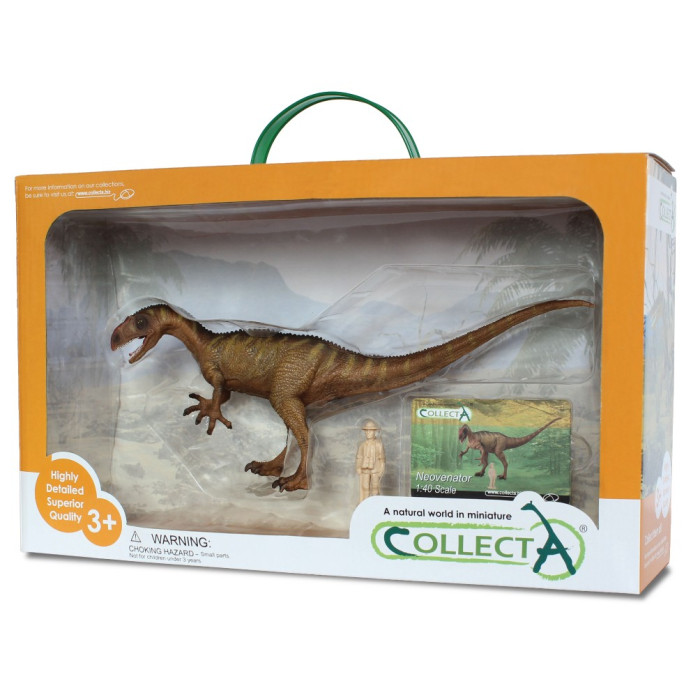 Figurine dinosaure 1:40 neovenator Collecta 89452 | Jouet réplique réaliste - Collection Préhistorique Jurassic World