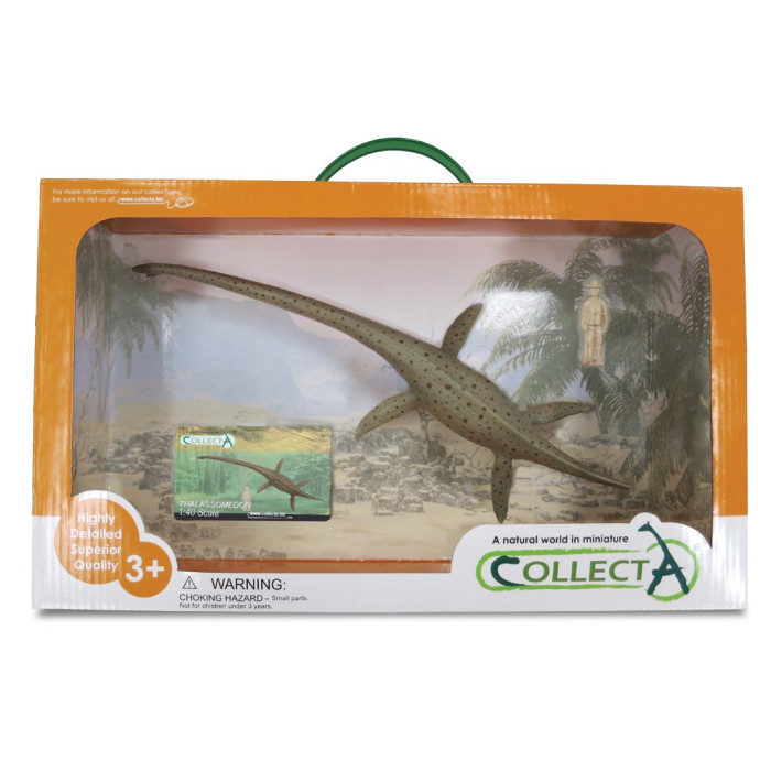 Thalassomedon CollectA 88760 Échelle 1:40 - 32cm | LesMinis.fr
