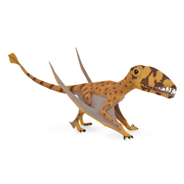 Dimorphodon CollectA - Figurine réaliste deluxe avec mâchoire articulée 88798