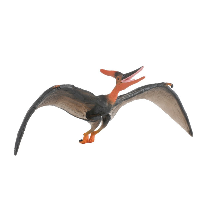 Figurine dinosaure pteranodon Collecta 88249 | Jouet réplique réaliste - Collection Préhistorique Jurassic World