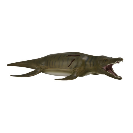 Figurine pliosaure CollectA Deluxe | Reptile marin préhistorique 88699