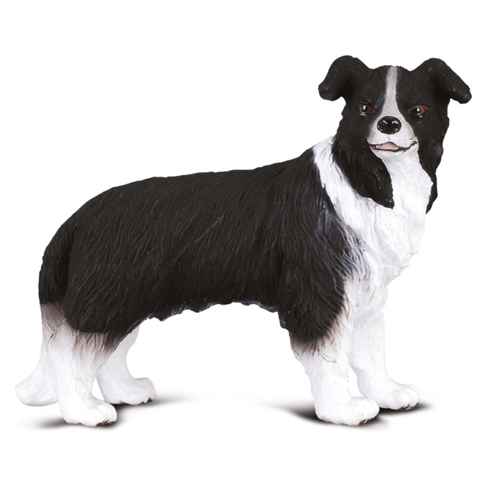 Border Collie - Figurine chien CollectA 88010 | Berger dynamique et intelligent