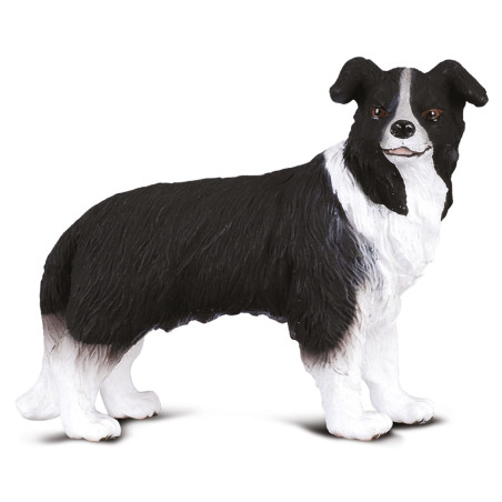 Border Collie - Figurine chien CollectA 88010 | Berger dynamique et intelligent