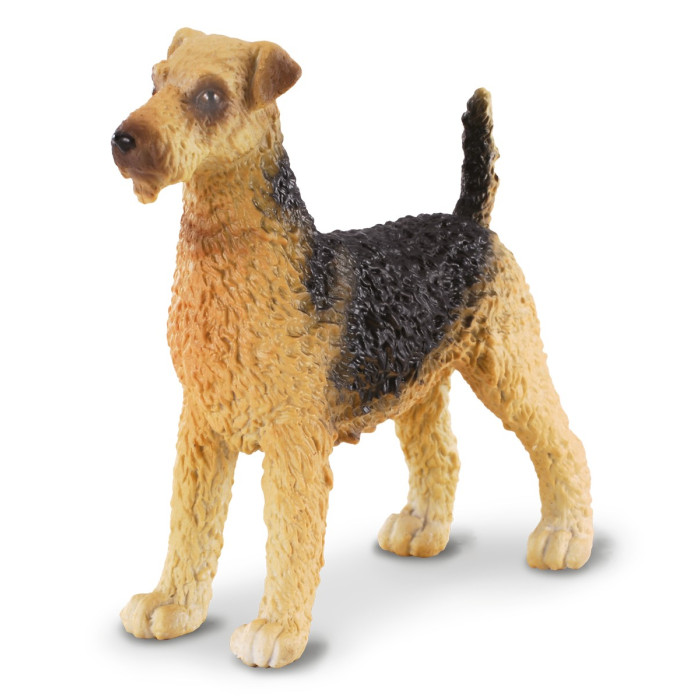Collectionnez notre figurine Airedale Terrier adulte Collecta 88175  | Réplique réaliste - Livraison rapide LesMinis