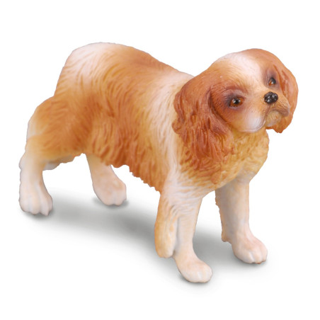 Figurine Chien cavalier king charles spaniel Collecta 88181 | Réplique réaliste - Enrichissement Montessori école maternelle