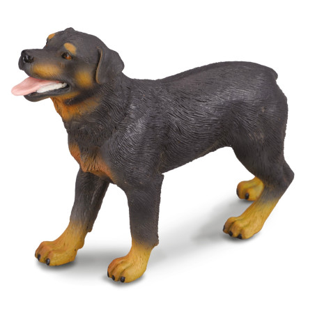 Figurine Chien rottweiler Collecta 88189 | Réplique réaliste - Enrichissement Montessori école maternelle