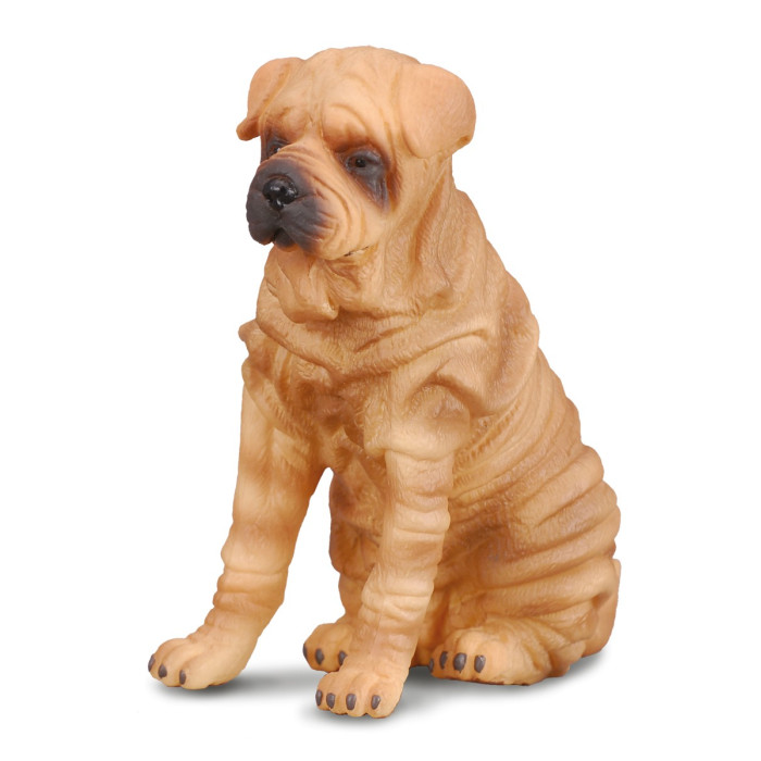 Figurine Chien shar-pei Collecta 88193 | Réplique réaliste - Enrichissement Montessori école maternelle