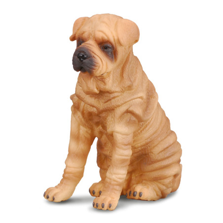 Figurine Chien shar-pei Collecta 88193 | Réplique réaliste - Enrichissement Montessori école maternelle