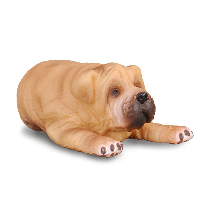 Figurine Chien chiot shar-pei Collecta 88194 | Réplique réaliste - Enrichissement Montessori école maternelle