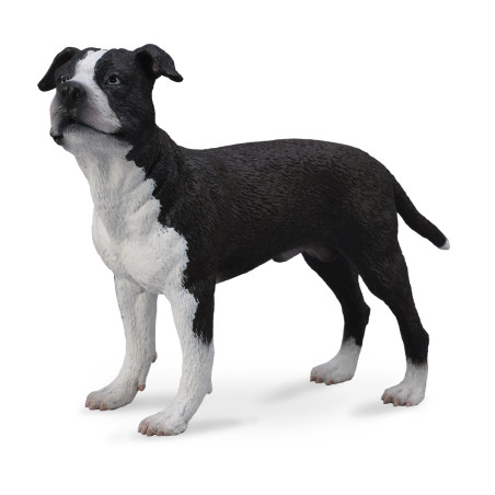 Figurine Chien Staffordshire américain terrier Collecta 88610 | Réplique réaliste - Enrichissement Montessori école maternelle