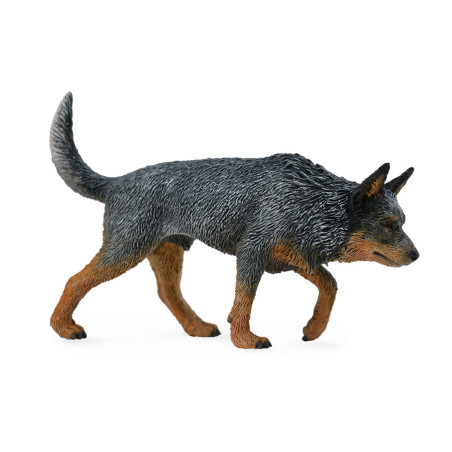 Figurine Chien bouvier australien Collecta 88672 | Réplique réaliste - Enrichissement Montessori école maternelle