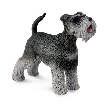Figurine Chien schnauzer Collecta 88752 | Réplique réaliste - Enrichissement Montessori école maternelle
