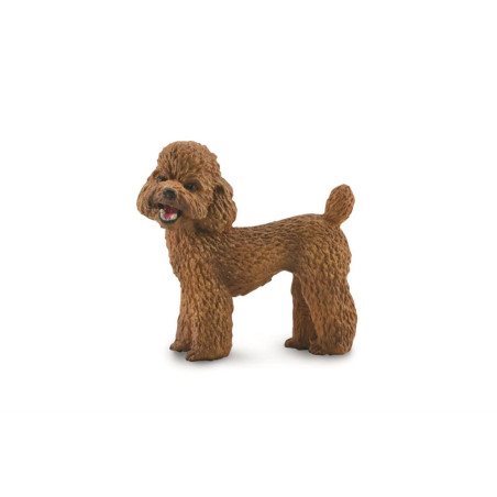 Figurine Chien caniche Collecta 88880 | Réplique réaliste - Enrichissement Montessori école maternelle