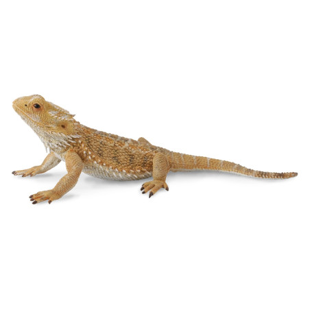 Figurine lézard dragon barbu Collecta Insecte 88567 | Matériel pédagogique Montessori - Sciences