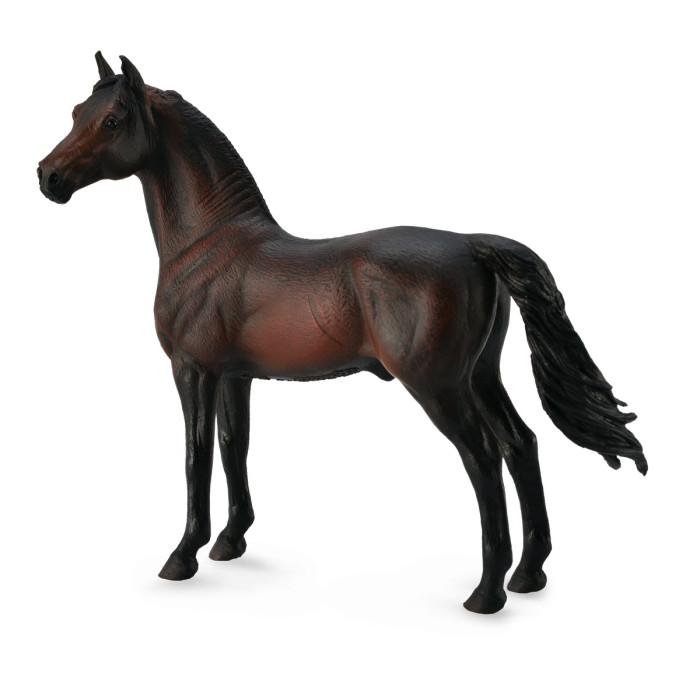 Figurine cheval morgan étalon bai Collecta 88646 | Jouet Montessori éducatif réplique réaliste