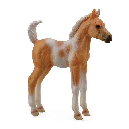 Poulain Pinto Palomino CollectA 88669 Échelle 1:20 | LesMinis