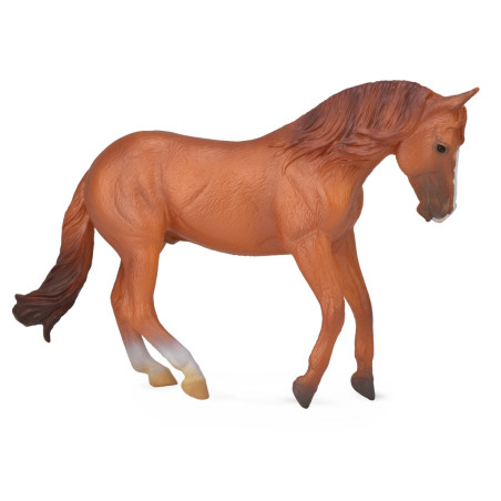 Figurine cheval étalon australien marron Collecta 88712 | Jouet Montessori éducatif réplique réaliste