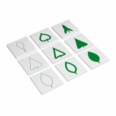 Cartes des formes de feuilles Montessori - Nienhuis  Montessori 004300 - Matériel pédagogique