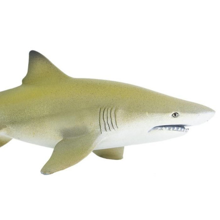 Figurine Requin Citron Safari Ltd Materiel Pedagogique Enrichissement Montessori Jouet Cartes Maternelle