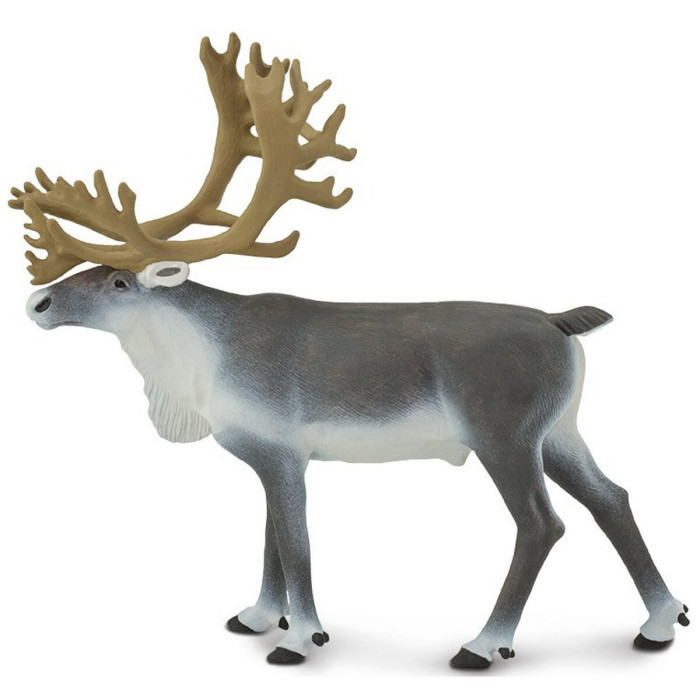 Renne Sauvage - Figurine Safari Ltd 182229 - Symbole des Toundras Arctiques