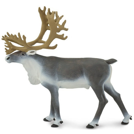 Renne Sauvage - Figurine Safari Ltd 182229 - Symbole des Toundras Arctiques