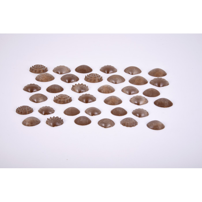 Coquilles tactiles écologiques - Lot de 36 et sac de rangement