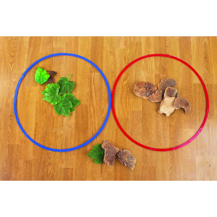 Ensemble d'anneaux de tri 50cm (6pièces)