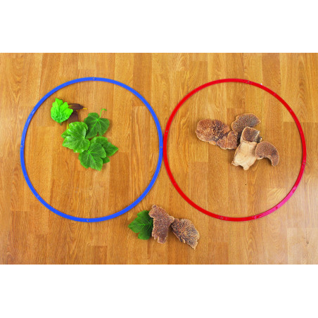 Ensemble d'anneaux de tri 50cm (6pièces)