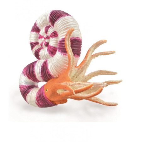 Pravitoceras CollectA 88927 | Figurine Ammonite | Collection Marine