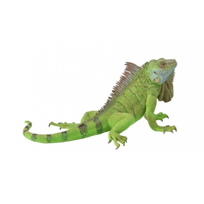 Figurine Iguane 13,8 cm - Collecta 88965