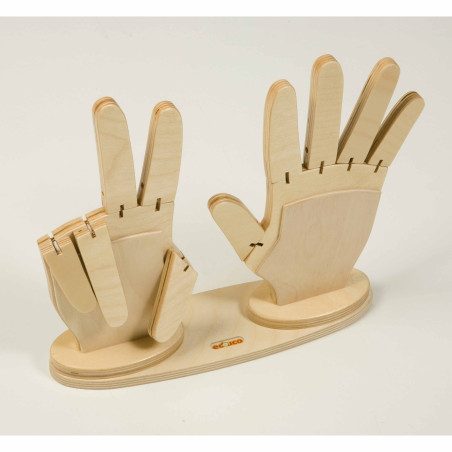 ensemble-mains-bois-calcul-comptage-doigts