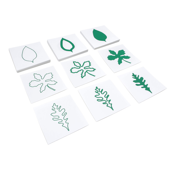 Cartes des Formes de Feuilles Montessori | 3 Séries de 24 | Botanique 3+ ans