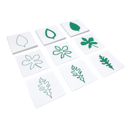 Cartes des Formes de Feuilles Montessori | 3 Séries de 24 | Botanique 3+ ans