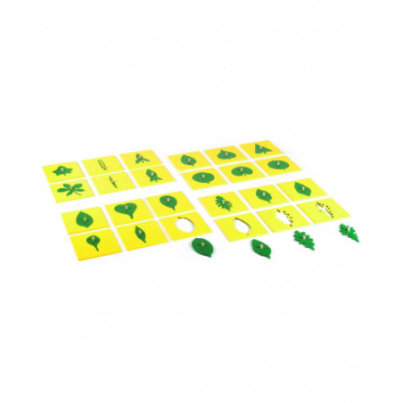 Pièces Formes de Feuilles Cabinet de Botanique Montessori - Éveil Biologique