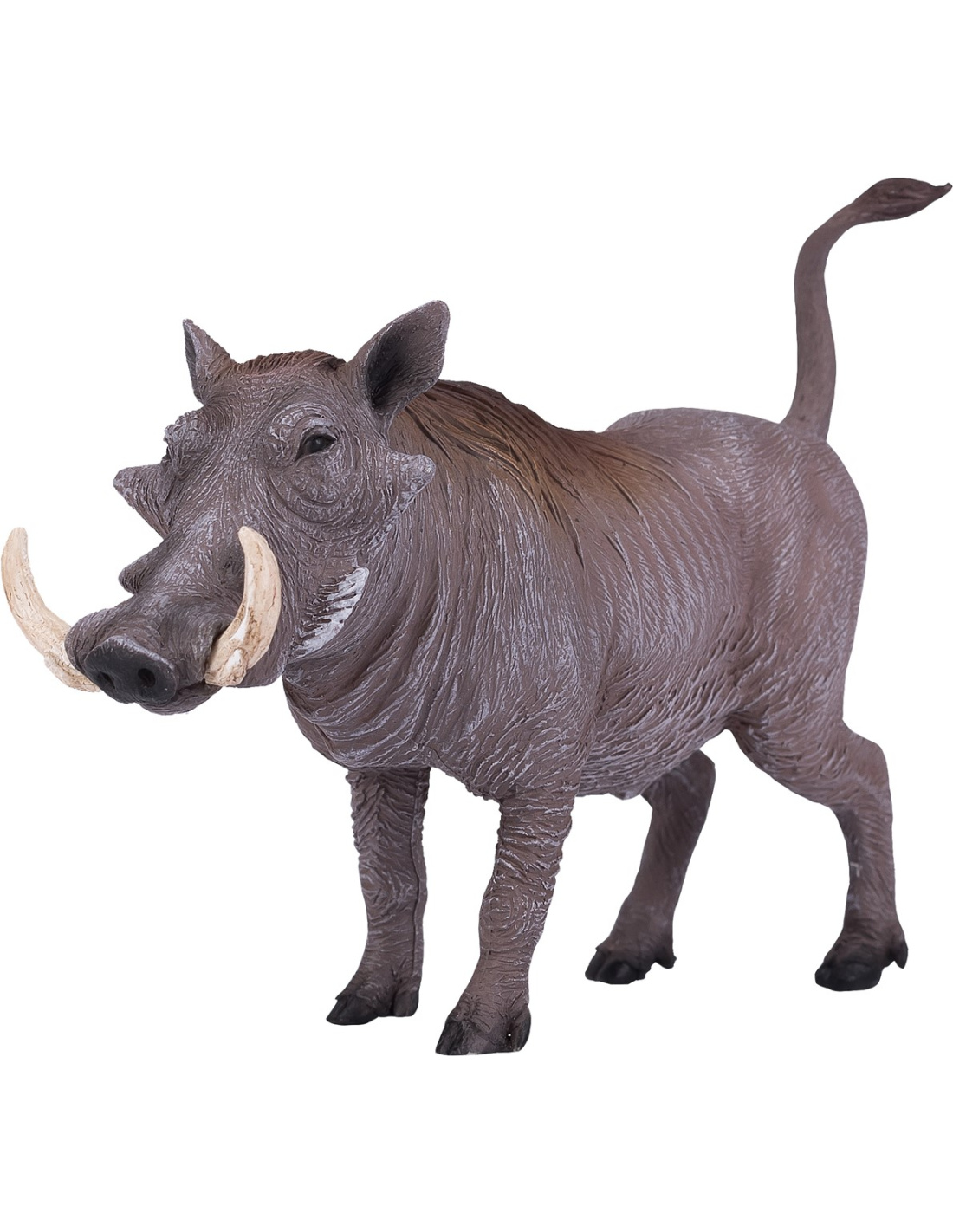 Papo – Figurine Phacochère 50180 – Animal Réaliste Peint à La Main – Dès 3 Ans – Jouet éducatif