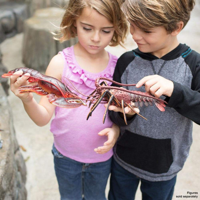 Figurine Homard - Safari Ltd® 281629 | Jouet réaliste | Matériel pédagogiqueAnimaux Montessori